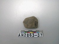 藏品(黑色夾砂素面陶片)的圖片